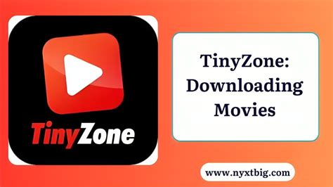 Tinyzone to mp4  160